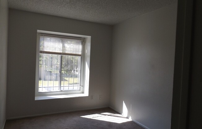 2 beds, 1 bath, $1,300