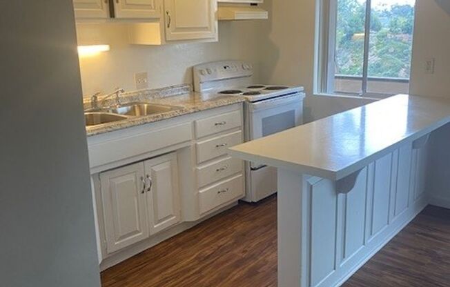 1 bed, 1 bath, 497 sqft, $1,995, Unit 4201-309