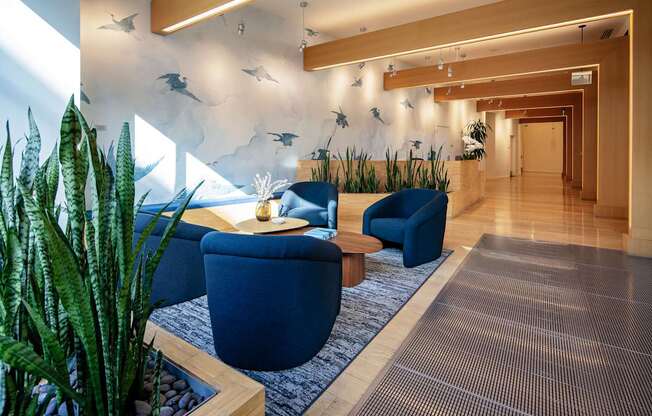 A blue chair is in the middle of a room with a blue rug.