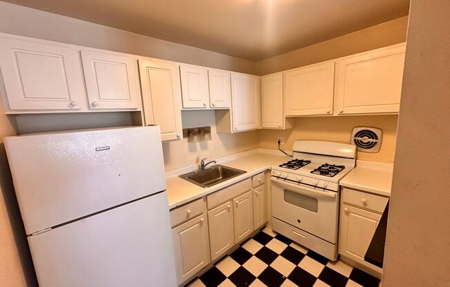 1 bed, 1 bath, $1,225, Unit 309