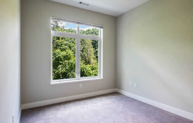 Carpeted Bedroom