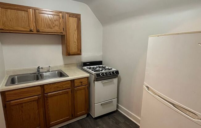 Studio, 1 bath, 325 sqft, $595, Unit 2419 #10