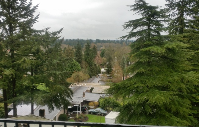 Mountain View Apartment