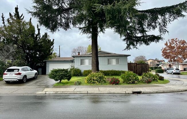 Move in ready home! Perfectly located on the border of Cambell, San Jose, and Santa Clara-Huge Backyard