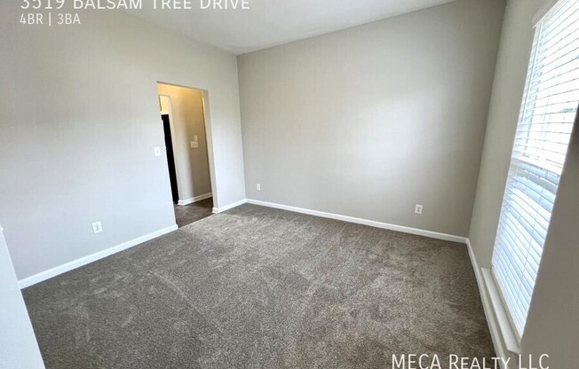3519 BALSAM TREE DR