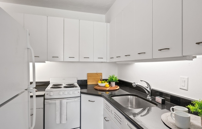 1 bed, 1 bath, 495 sqft, $3,200, Unit 705