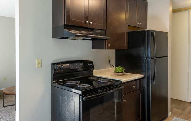 an updated kitchen with black appliances and dark wood cabinets