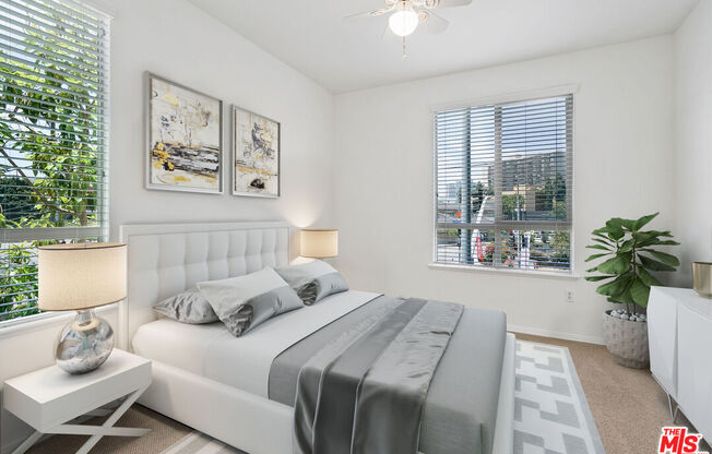 1 bed, 1 bath, 910 sqft, $2,900, Unit 355