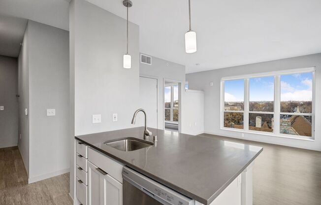 1 bed, 1 bath, 742 sqft, $1,500, Unit Unit 411