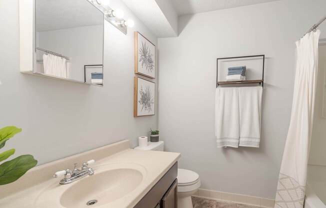 A bathroom with a sink, toilet, and a mirror.