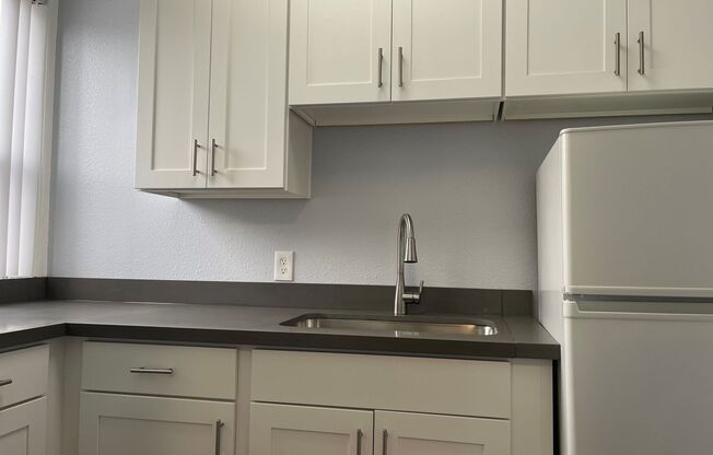 Studio, 1 bath, 350 sqft, $1,235, Unit 202