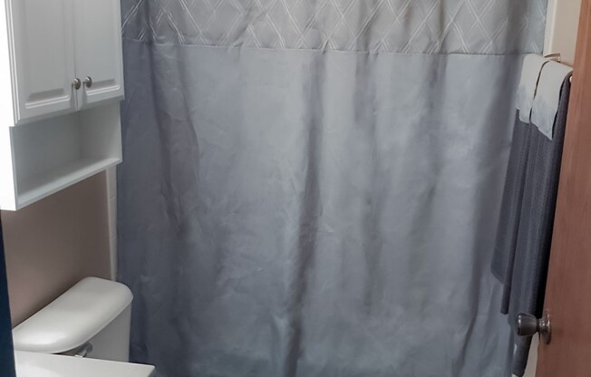 Studio, 1 bath, 300 sqft, $1,230, Unit 102-201