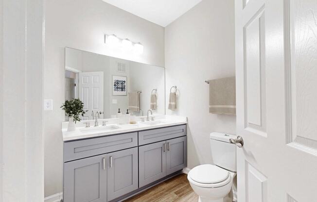 Bathroom with dual sinks