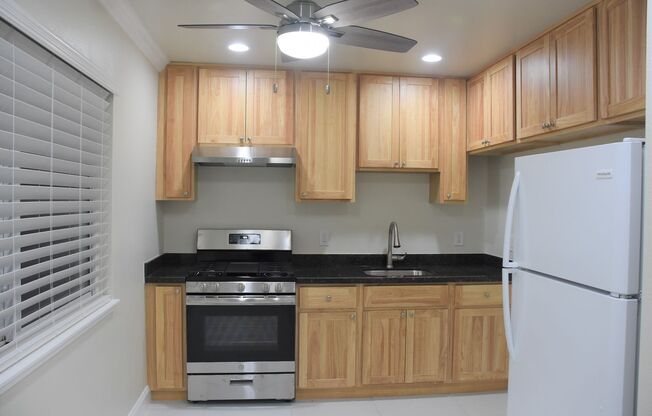 -- Wonderful Elegant Modern // Remodeled 1 Br. Apartment --- Pet Friendly
