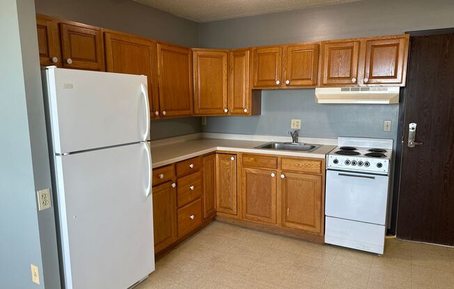 1 Bedroom 1 Bathroom in Downtown Fargo!