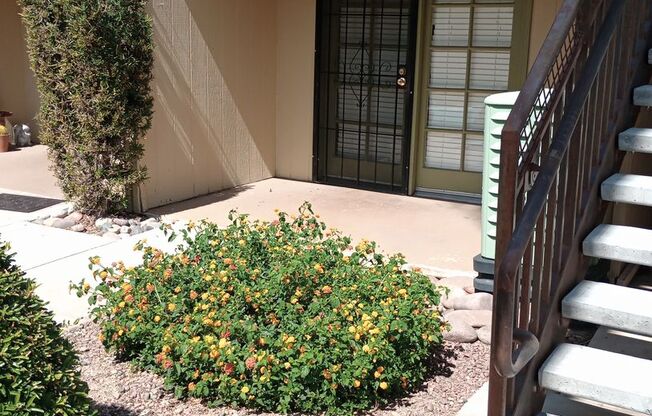 1 bed, 1 bath, 525 sqft, $949, Unit 151
