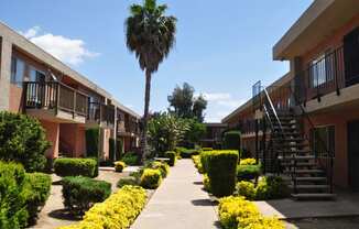 Walking Path