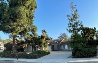 378 N PALO CEDRO