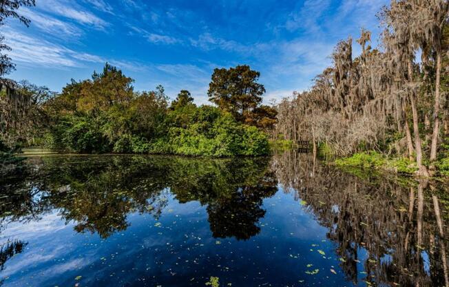 2 beds, 2 baths, 1,210 sqft, $1,950