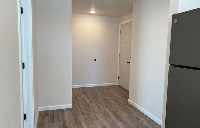 Studio, 1 bath, 463 sqft, $1,350, Unit 417