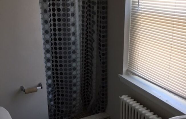 1 bed, 1 bath, 500 sqft, $1,299, Unit N7640D