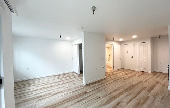 Studio, 1 bath, 480 sqft, $1,495, Unit 218