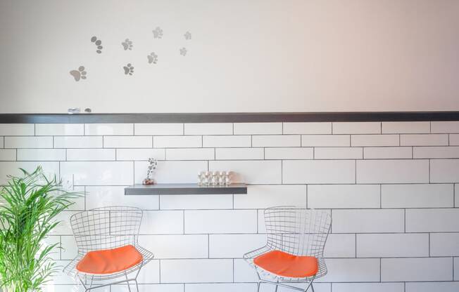 a bar with orange chairs and a white brick wall with paw prints on it