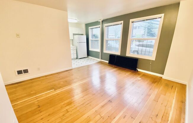 Studio, 1 bath, 325 sqft, $1,295, Unit 115