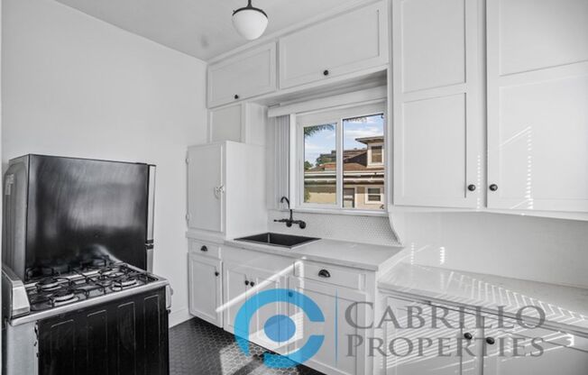 Studio, 1 bath, 341 sqft, $1,750, Unit 206