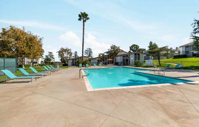 A large swimming pool surrounded by lounge chairs and palm trees.