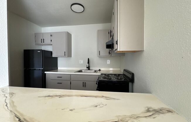 Studio, 1 bath, 410 sqft, $950, Unit 487-12