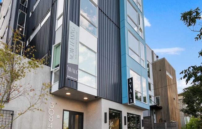Studio, 1 bath, 295 sqft, $1,695, Unit 701