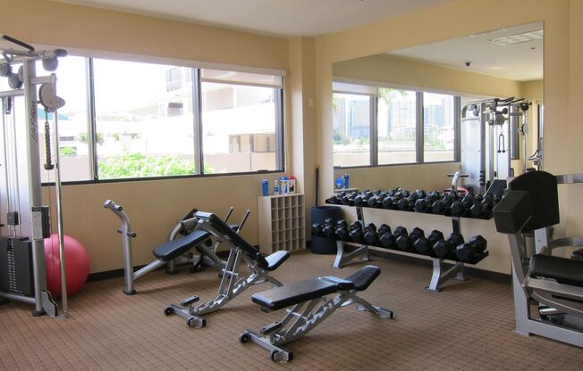 1 bed, 1 bath, $2,600