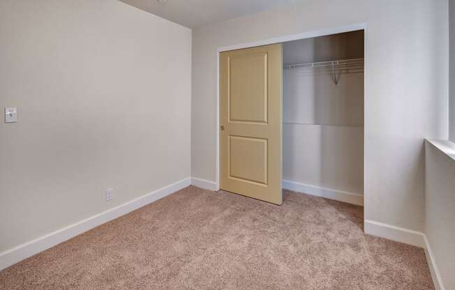 City View large bedroom with carpet and walk in closet