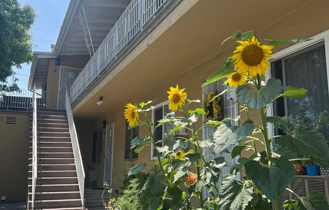 1 Bedroom 1 Bath Upstairs Apartment , Onsite Laundry-1 Parking Space Available