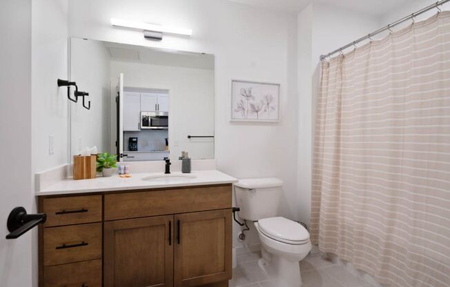 Studio, 1 bath, 411 sqft, $1,250, Unit 411