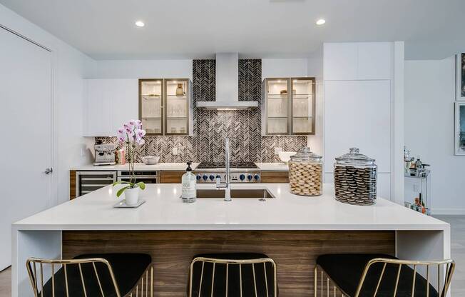 Gourmet Bosch & Thermador Kitchen Appliances