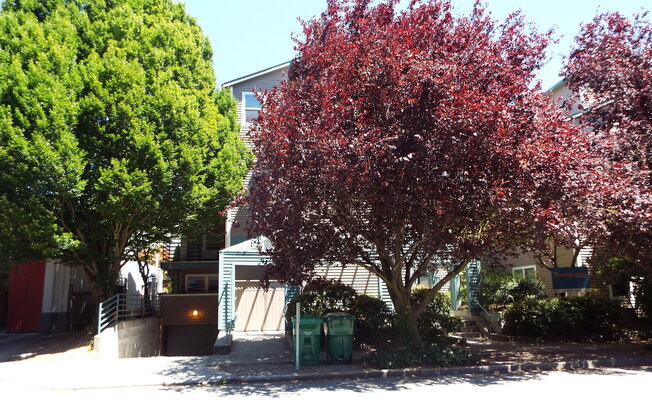 1 bed, 1 bath, 550 sqft, $1,825, Unit 105