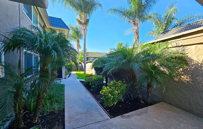 Studio, 1 bath, $1,495, Unit 41