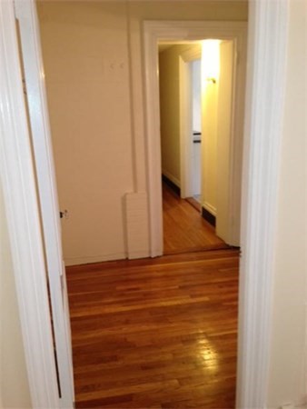 1 bed, 1 bath, 1,000 sqft, $3,100, Unit #1