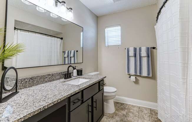 a bathroom with a toilet and a sink and a mirror