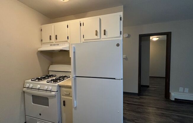 1 bed, 1 bath, 525 sqft, $899, Unit 2890 205