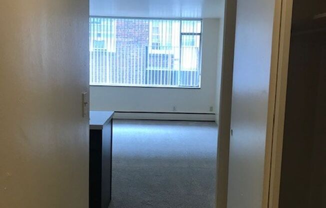 Studio, 1 bath, 375 sqft, $850, Unit 406