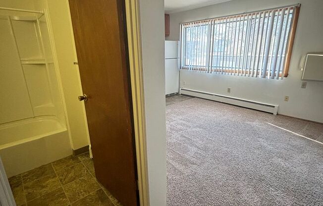 Studio, 1 bath, 300 sqft, $550, Unit 11