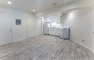 Studio, 1 bath, 267 sqft, $1,500, Unit 106