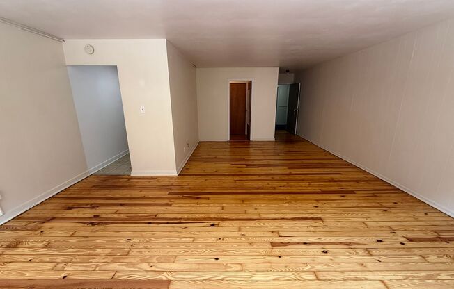 Studio, 1 bath, 487 sqft, $1,250, Unit Fifth 206