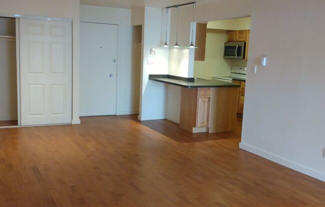 1 bed, 1 bath, $1,750, Unit Unit 156