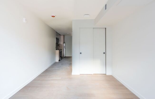 Studio, 1 bath, 300 sqft, $1,599, Unit 419