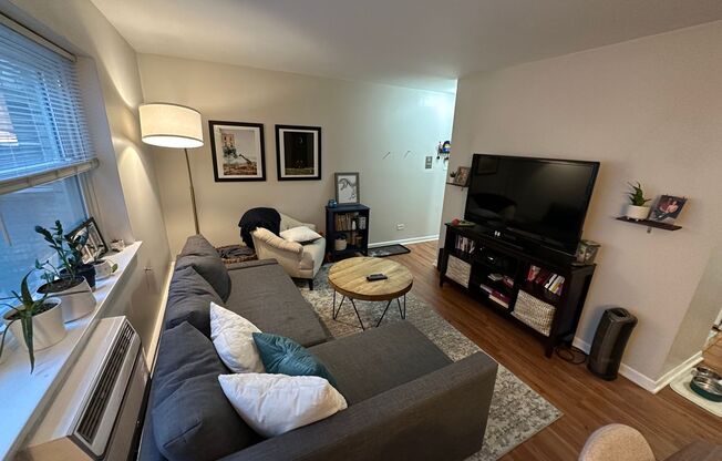 1 bed, 1 bath, $1,925, Unit 251