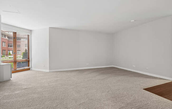 A large empty room with a carpeted floor and a window with blinds.